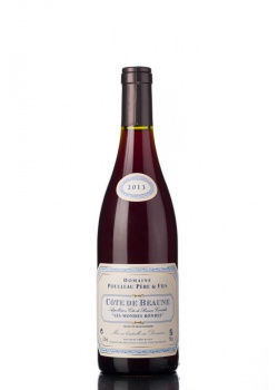 Côtes de Beaune Les Mondes Rondes